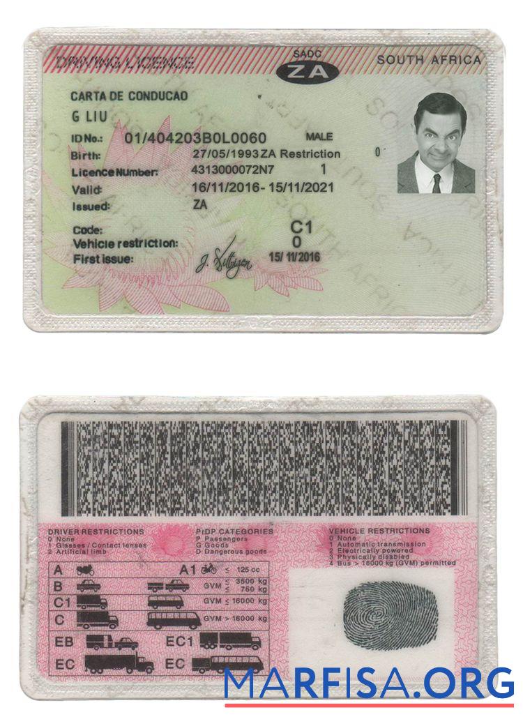 Blank South Africa driving license real example